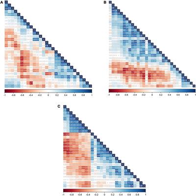 Advancing NSCLC pathological subtype prediction with interpretable machine learning: a comprehensive radiomics-based approach